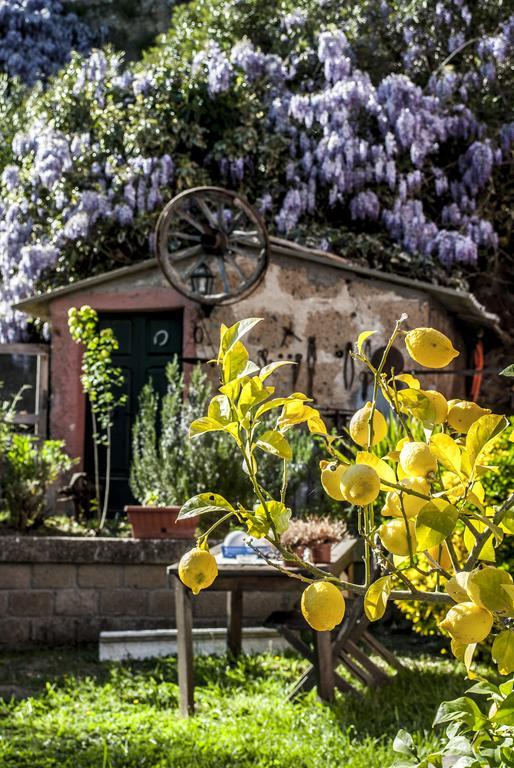Bed & Breakfast La Casa Dei Carrai 3*